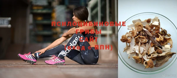 индика Бородино
