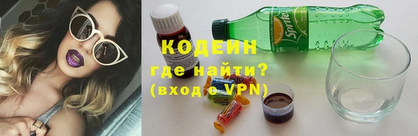 индика Бородино