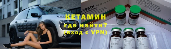 индика Бородино