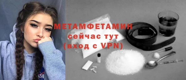 индика Бородино