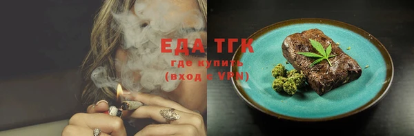 индика Бородино