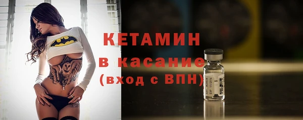 индика Бородино