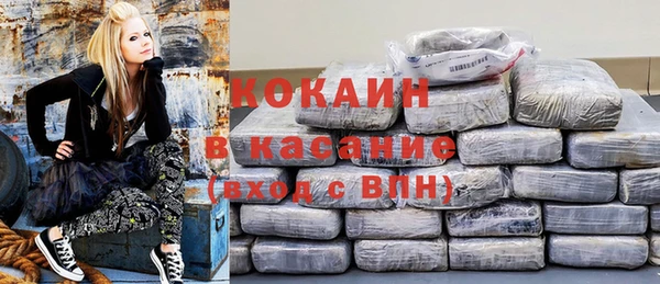 индика Бородино