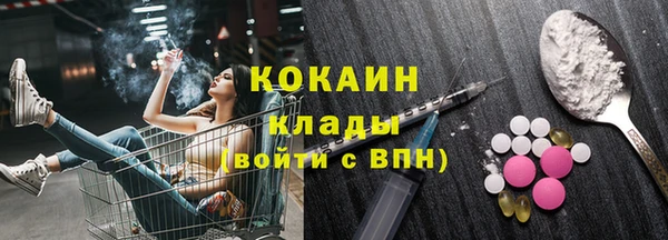 индика Бородино