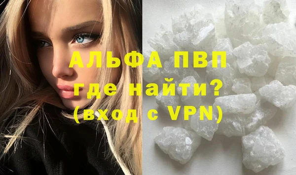 индика Бородино