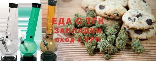 индика Бородино