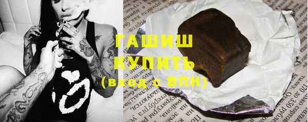 индика Бородино