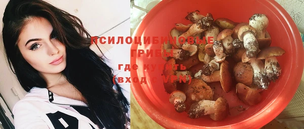 индика Бородино
