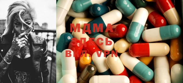 индика Бородино